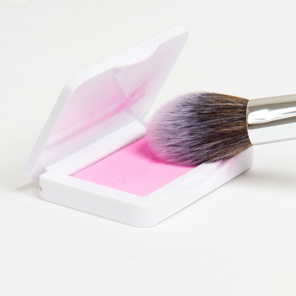 Brushy Brush C02